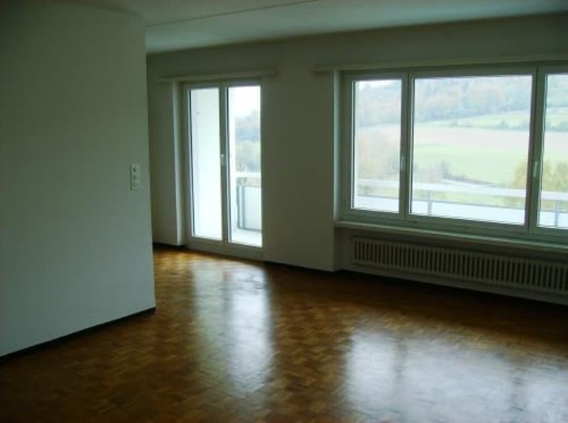 Sympathische 2.5-Zimmerwohnung im 7. OG mit toller Aussicht. (2)