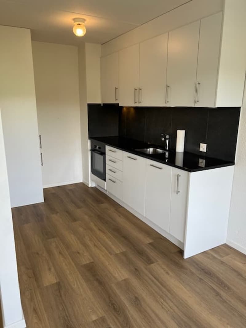 PER 25.10.2026 GROSSZÜGIG NEU RENOVIERTE 3-ZIMMERWOHNUNG MIT SUPER AUSSICHT ZU VERMIETEN (3)