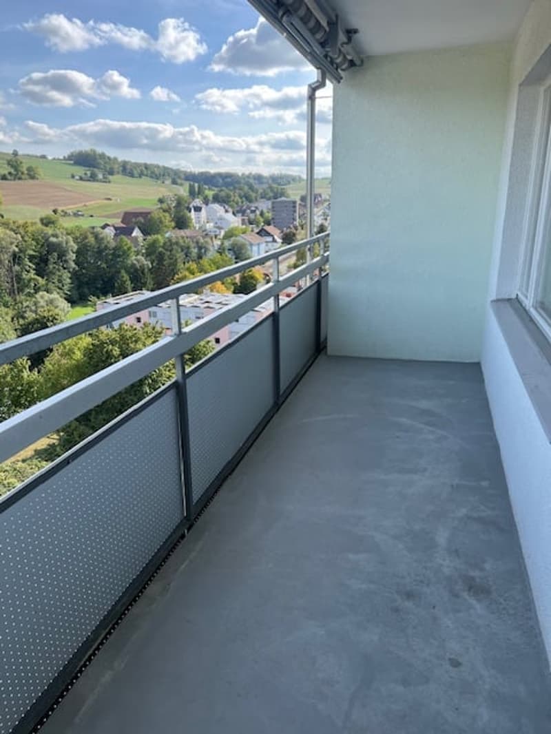 PER 25.10.2026 GROSSZÜGIG NEU RENOVIERTE 3-ZIMMERWOHNUNG MIT SUPER AUSSICHT ZU VERMIETEN (7)