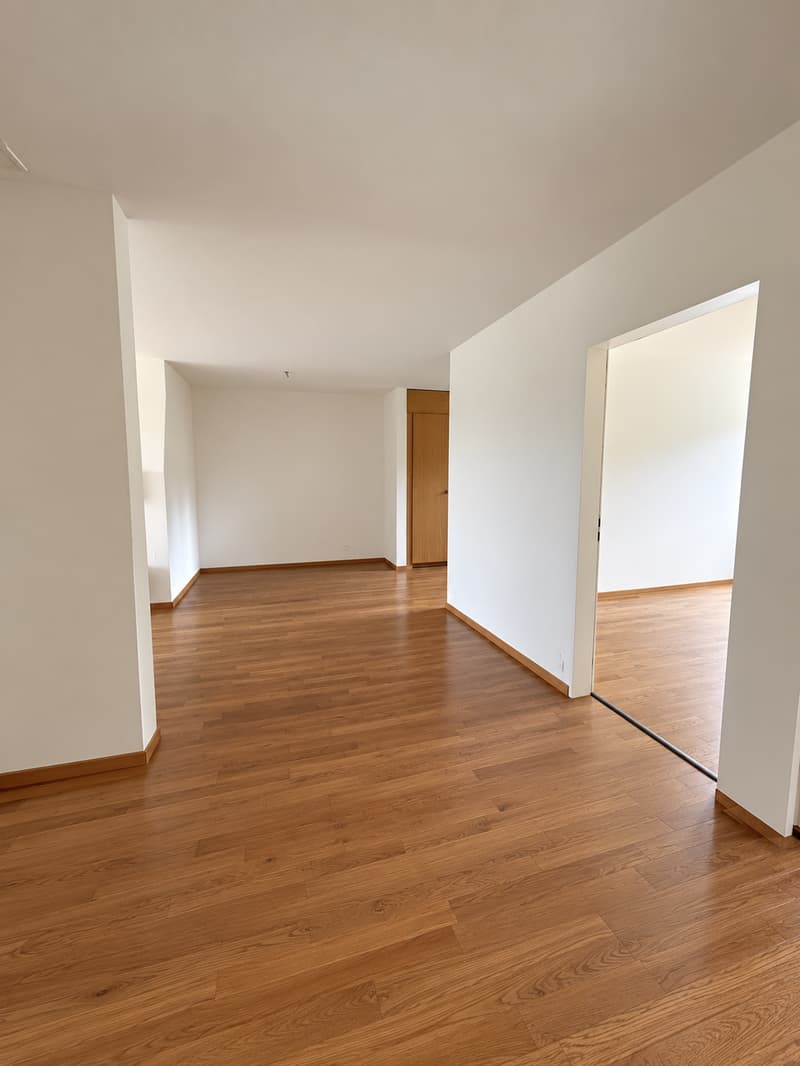 Helle 4.5-Zimmer-Wohnung mit Balkon in Widen (4)