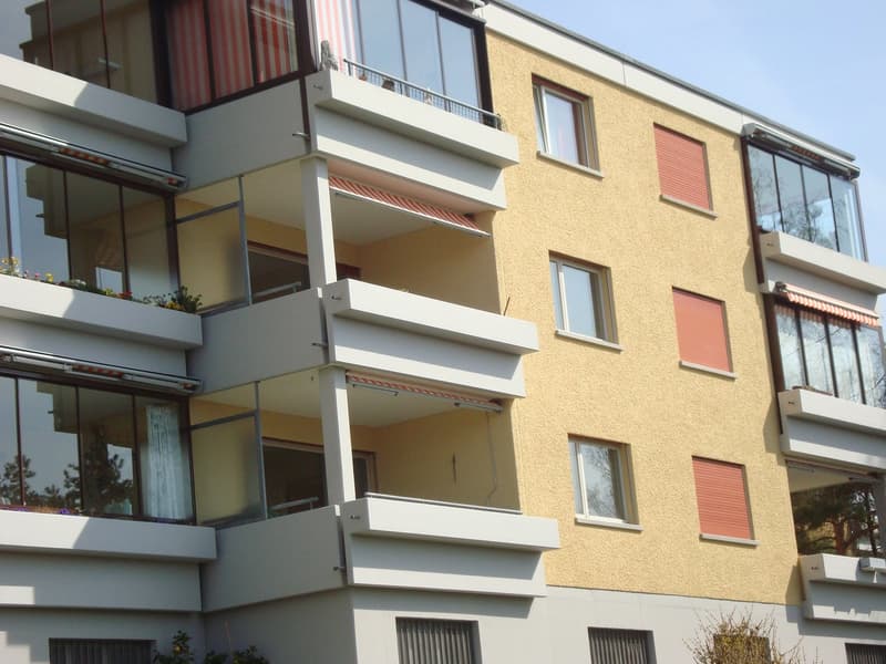 Helle 4.5-Zimmer-Wohnung mit Balkon in Widen (2)