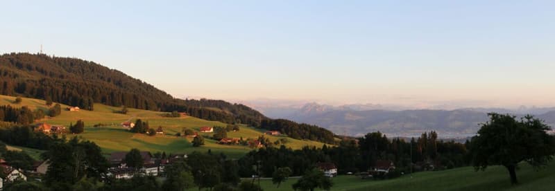 Ihr neues Zuhause mit Rigiblick & Traumterrasse (8)
