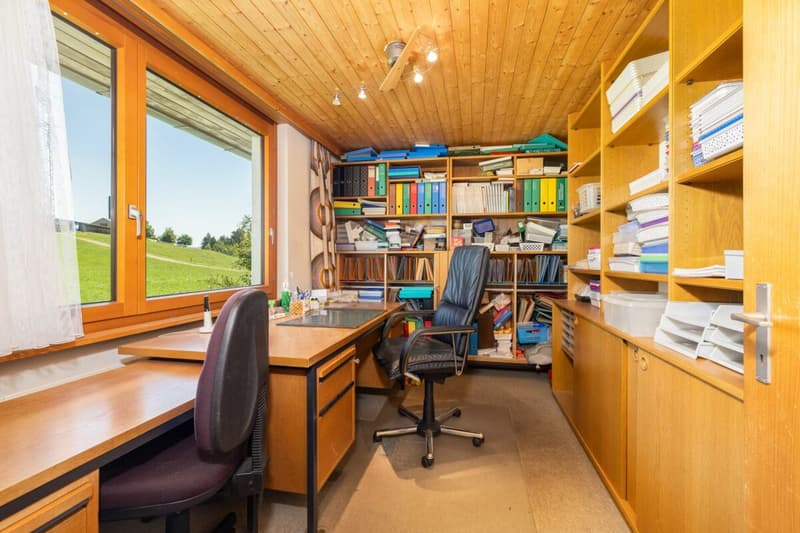 Büro mit Blick ins Grüne