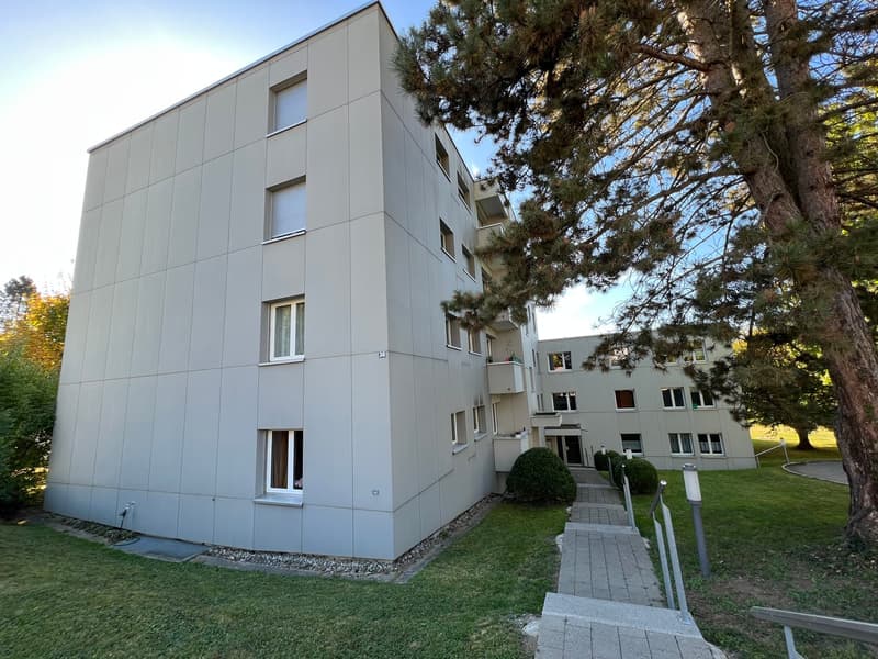 Zwei vollvermietete Mehrfamilienhäuser in Wettswil am Albis (2)
