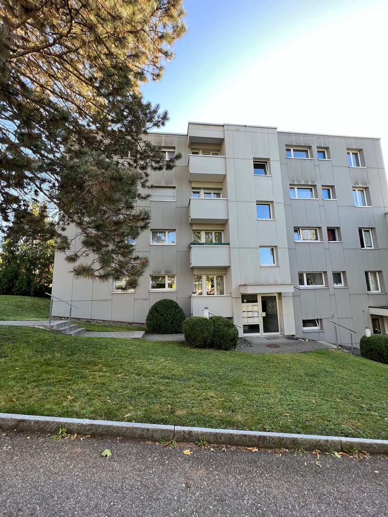 Zwei vollvermietete Mehrfamilienhäuser in Wettswil am Albis (4)