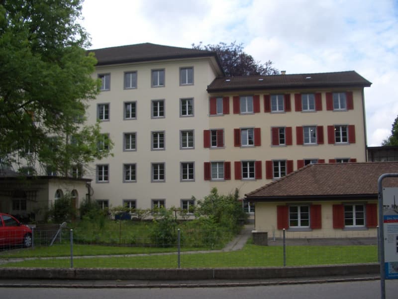 Ansicht_Liegenschaft_hinten.png