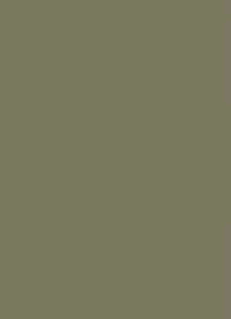 Farbgebung Bodenbelag.png
