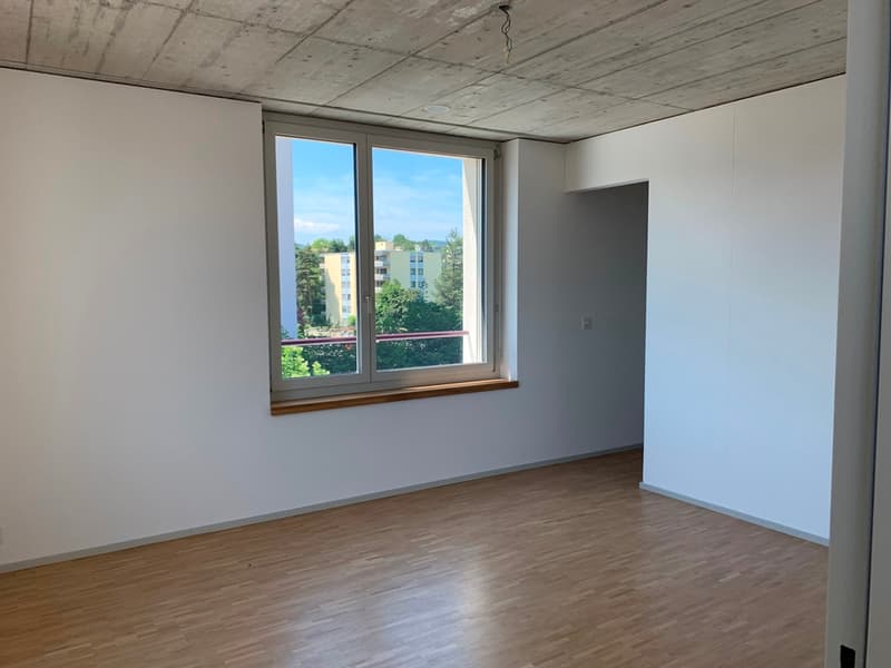 Wohnung mit Weitsicht und grosser Dachterrasse (5)