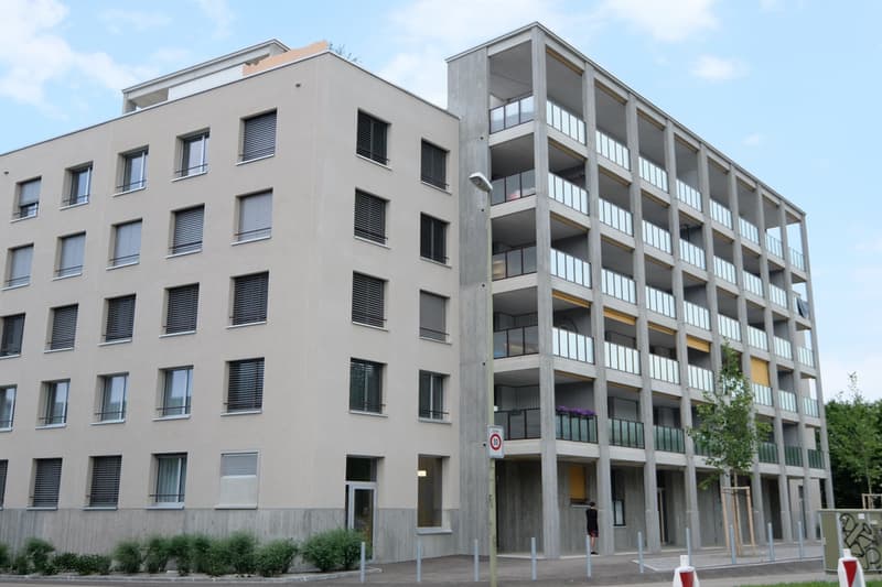 Wohnung mit Weitsicht und grosser Dachterrasse (10)