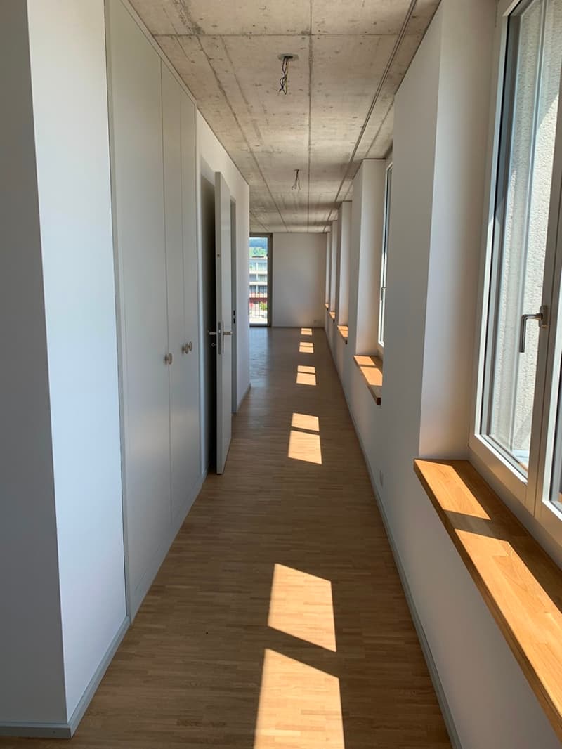Wohnung mit Weitsicht und grosser Dachterrasse (7)