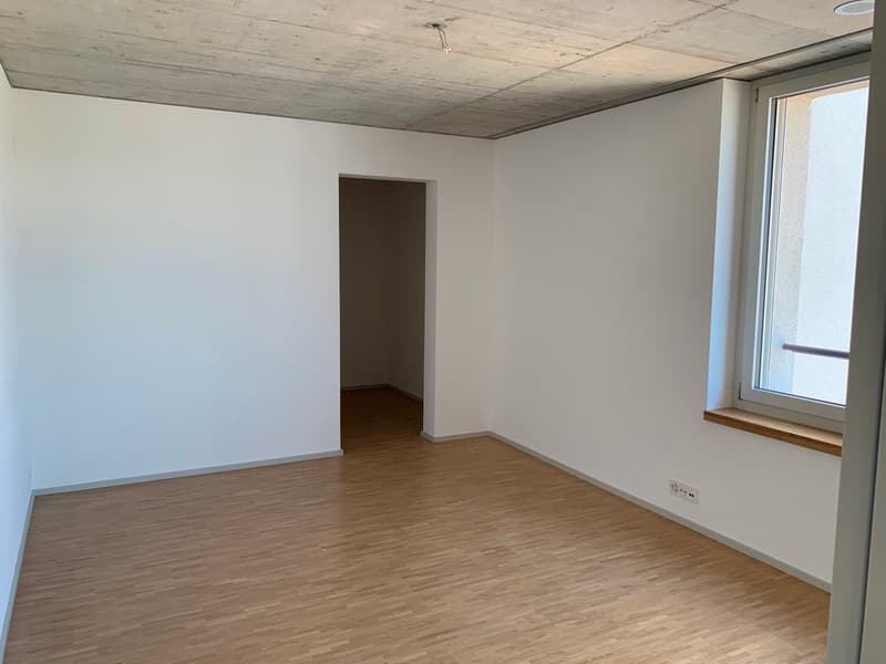 Wohnung mit Weitsicht und grosser Dachterrasse (6)