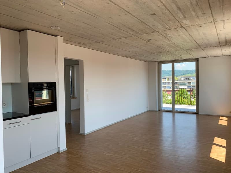 Wohnung mit Weitsicht und grosser Dachterrasse (1)