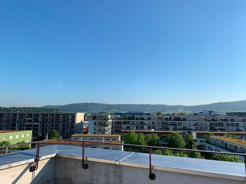 Wohnung mit Weitsicht und grosser Dachterrasse (9)