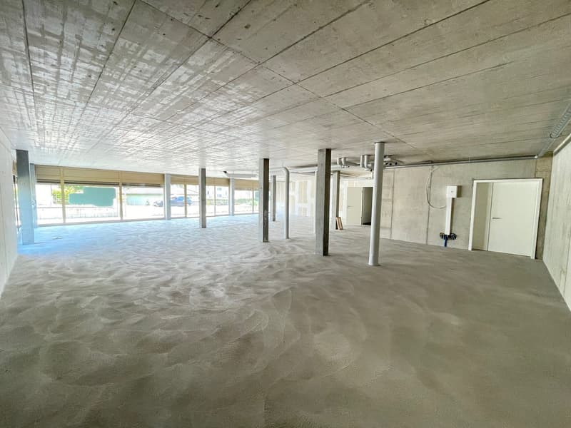 Empty room with concrete floor, large windows, pillars, and doors.