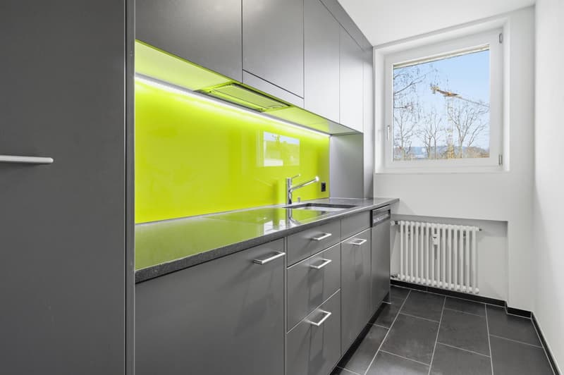 modern kitchen with gray cabinets, yellow backsplash, stainless steel sink, faucet, dishwasher, window with view of trees and crane