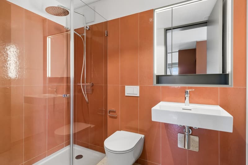 Modernes 3.5-Zimmer-Duplex-Wohnung im Neubau an der Scheuchzerstrasse, Zürich (13)