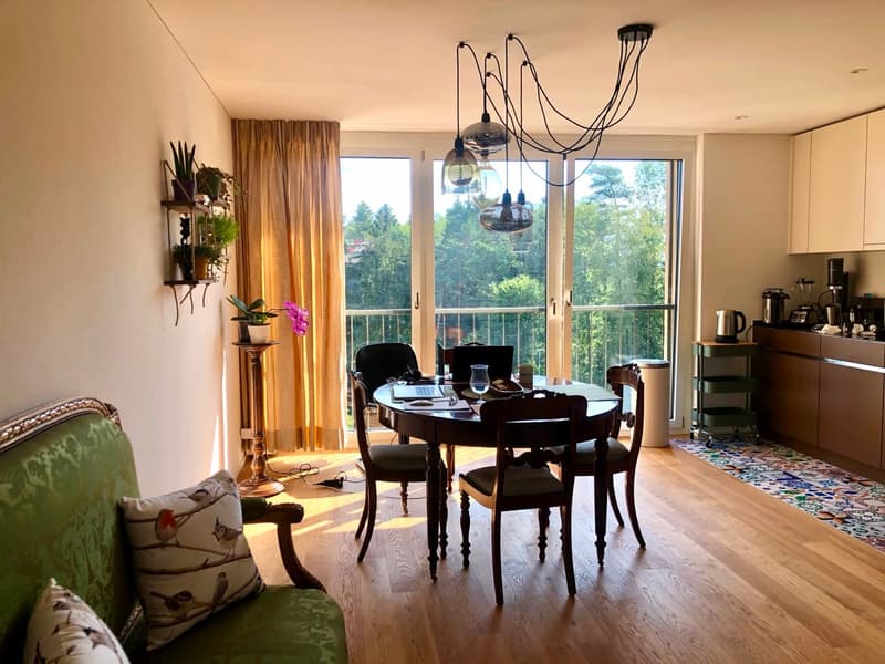 Moderne, lichtdurchflutete 3.5-Zimmerwohnung (1)