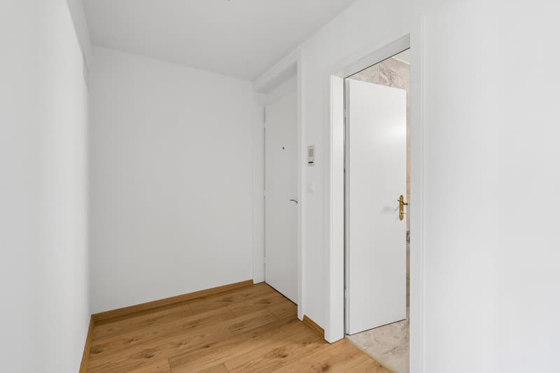 frisch renovierte 2-Zimmerwohnung mit grosser Terrasse in Zollikon (3)