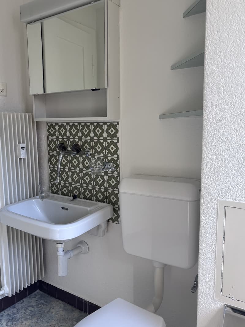 Wohnung mit Balkon, im Naherholungsgebiet (8)