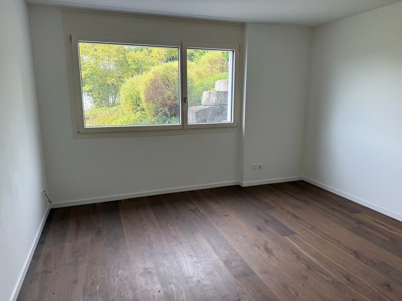 Einzigartige, grosszügige 5.5-Zimmerwohnung mit Garten und Cheminée (13)