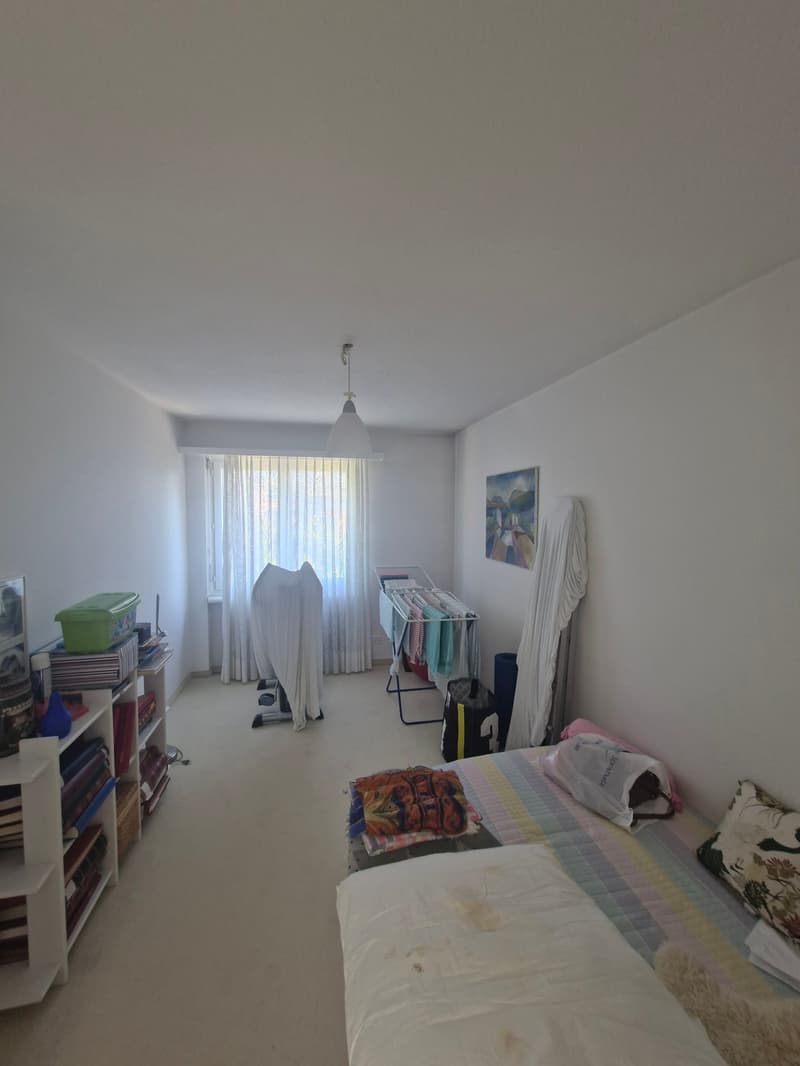 Attraktive 6- Zimmer Attikawohnung mit Cheminée und Sicht ins Grüne (9)