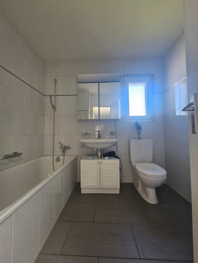 Attraktive 6- Zimmer Attikawohnung mit Cheminée und Sicht ins Grüne (11)