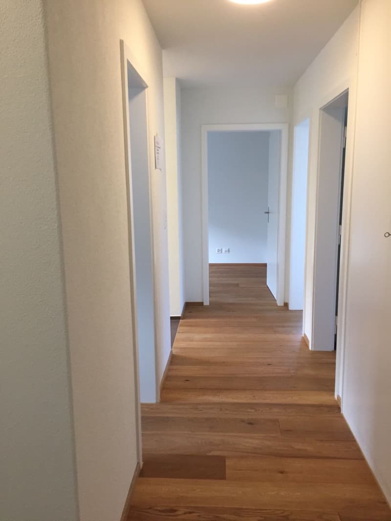 Erstbezug nach Totalsanierung - Charmante 4.5-Zimmer-Wohnung mit Balkon (2)