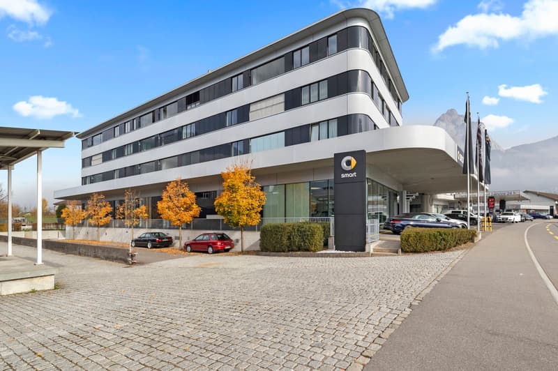 Grosse 4.5-Zimmer-Whg mit freier Sicht auf die Mythen (1)