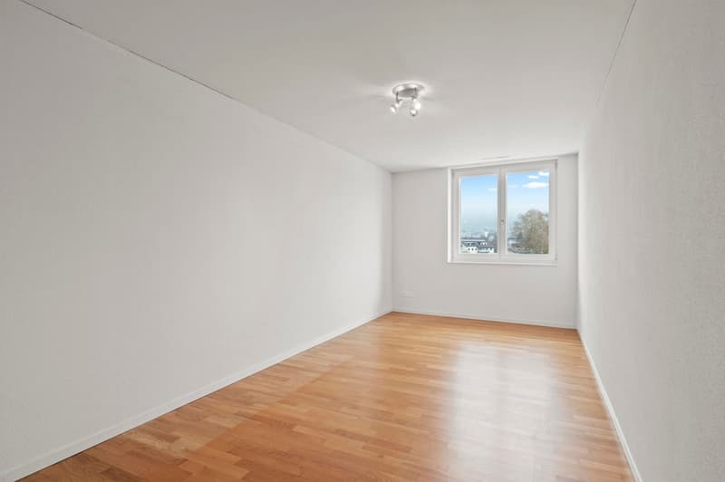 Grosse 4.5-Zimmer-Whg mit freier Sicht auf die Mythen (16)