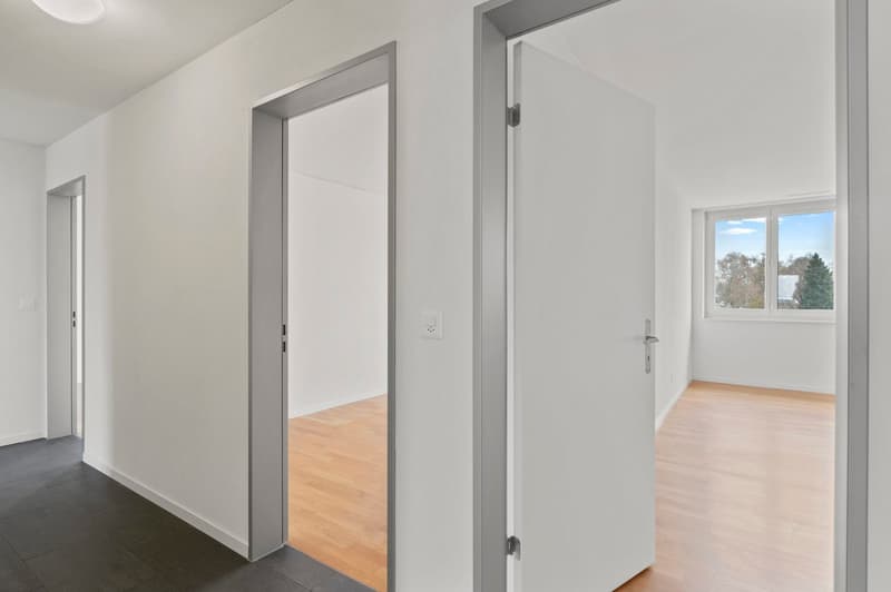 Grosse 4.5-Zimmer-Whg mit freier Sicht auf die Mythen (13)