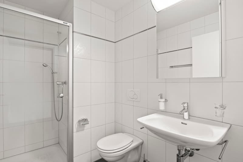 Grosse 4.5-Zimmer-Whg mit freier Sicht auf die Mythen (20)