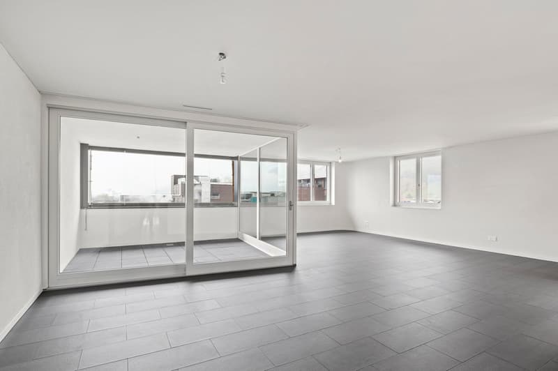 Grosse 4.5-Zimmer-Whg mit freier Sicht auf die Mythen (4)