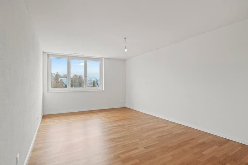 Grosse 4.5-Zimmer-Whg mit freier Sicht auf die Mythen (14)