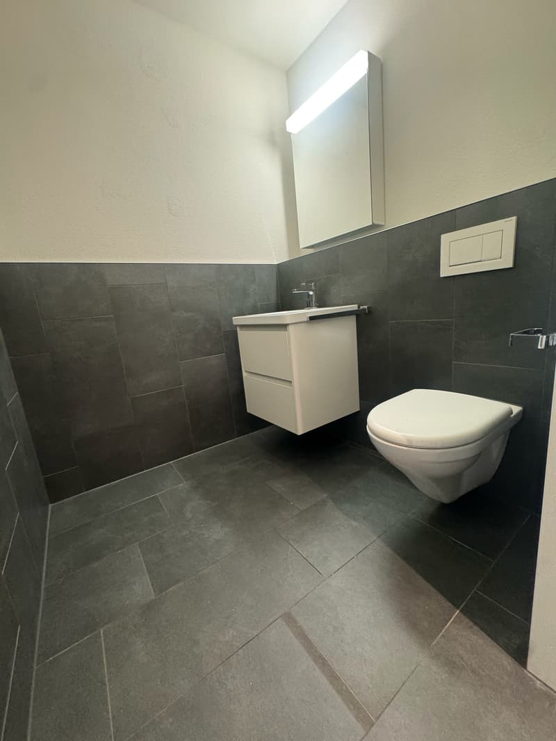 Charmante 3.5-Zimmer-Terrassenwohnung im Erdgeschoss in Zürich-Oerlikon (6)