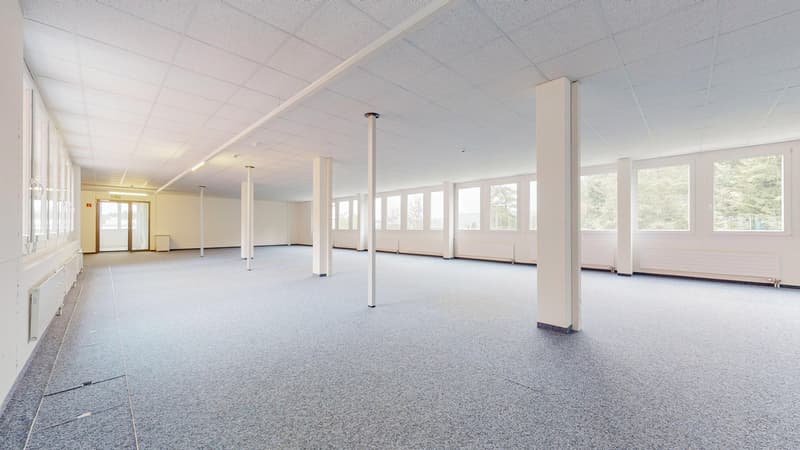 Bezugsbereites Büros in Dättwil (9)