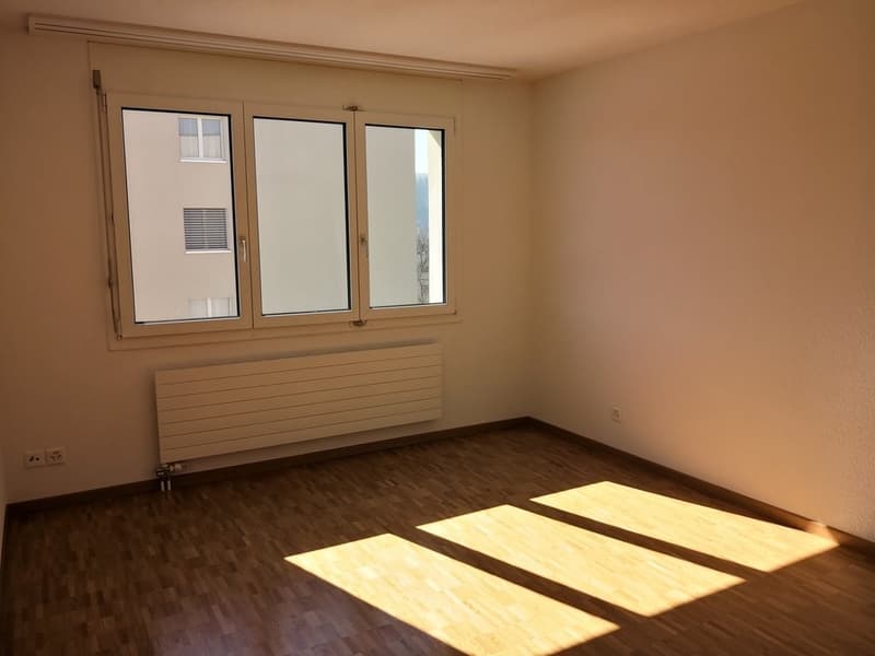 The ideal family apartment in a prime location (8)