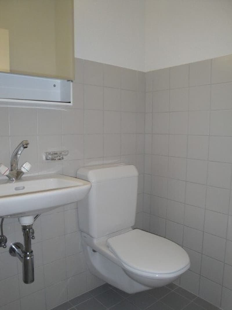 The ideal family apartment in a prime location (6)