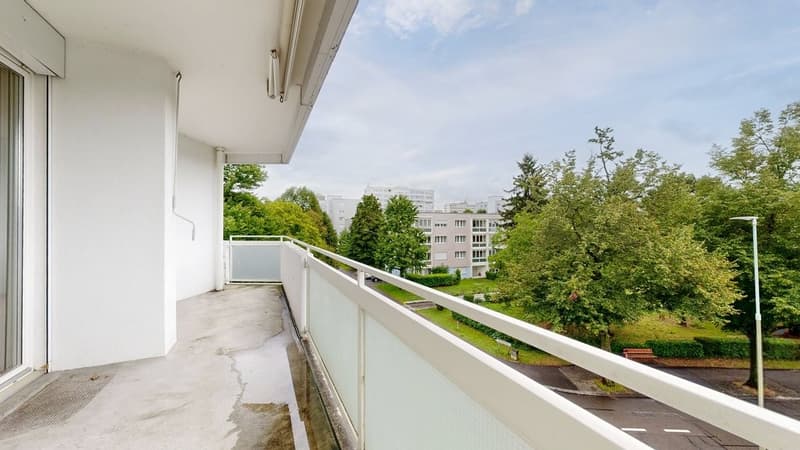 Möchten Sie näher am Rhein wohnen? (10)