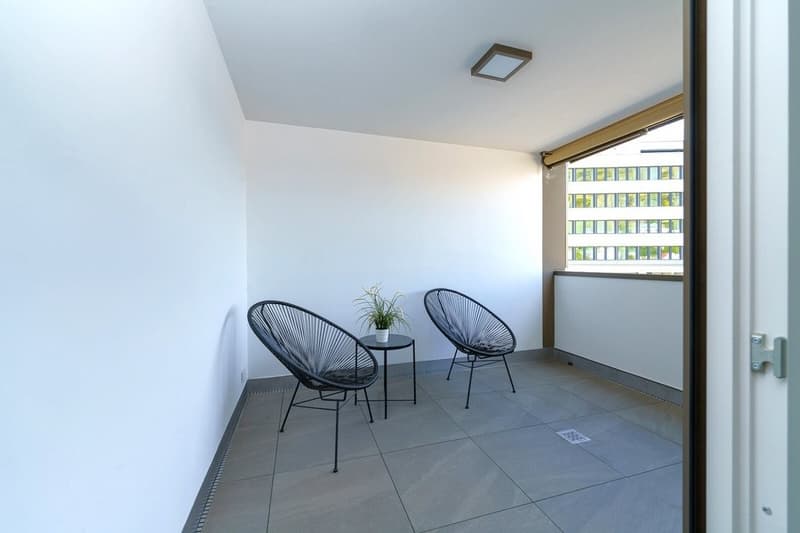 Suchen Sie eine trendige Wohnung mitten in Liestal? (11)