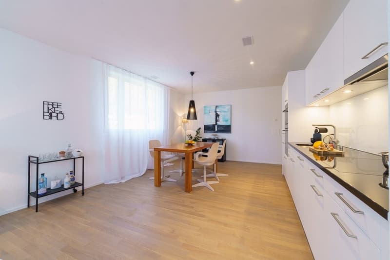 Suchen Sie eine trendige Wohnung mitten in Liestal? (4)
