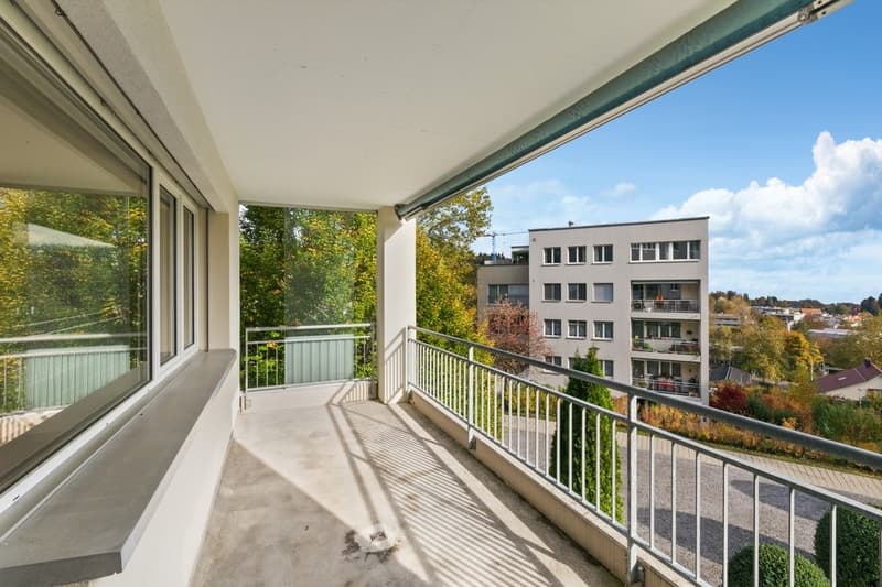 Grosszügige Familienwohnung in ruhiger Gegend (8)