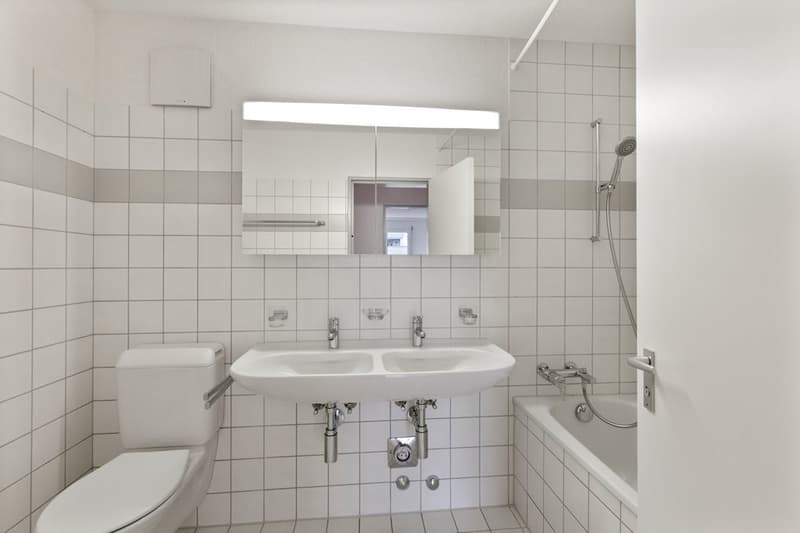 Grosszügige Familienwohnung in ruhiger Gegend (6)