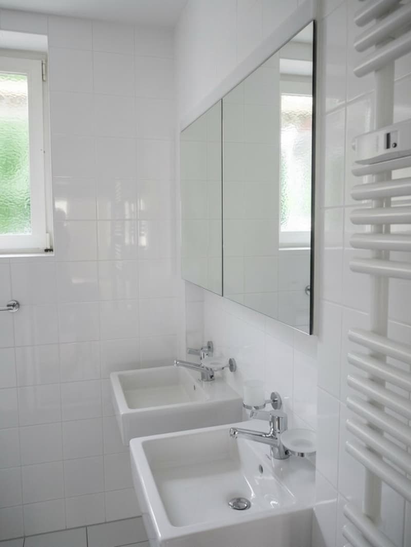 Stilvoller Altbau am schönen Basler Rheinbord (6)