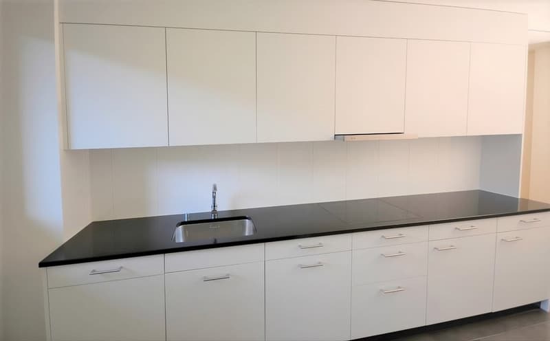 Stilvoller Altbau am schönen Basler Rheinbord (2)
