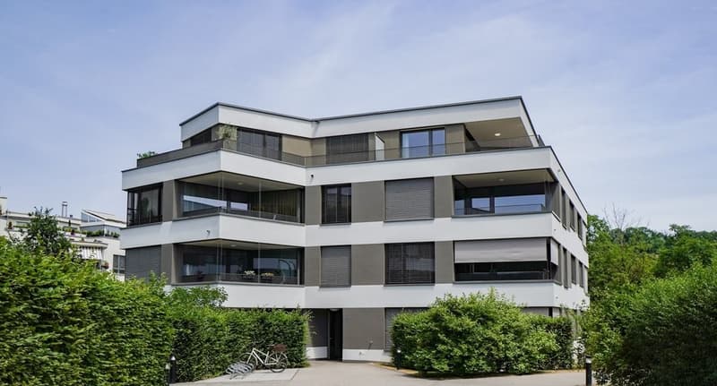 Durchdacht anders mit grosszügiger Dachterrasse (1)