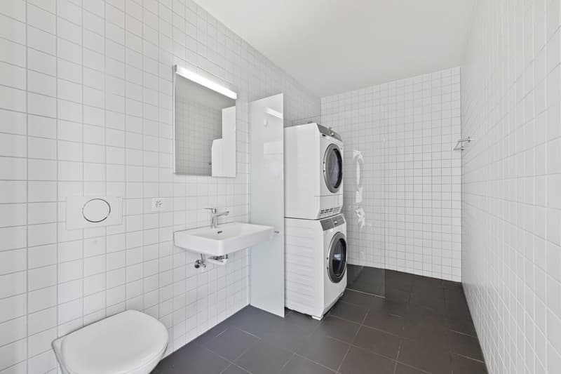 Durchdacht anders mit grosszügiger Dachterrasse (7)