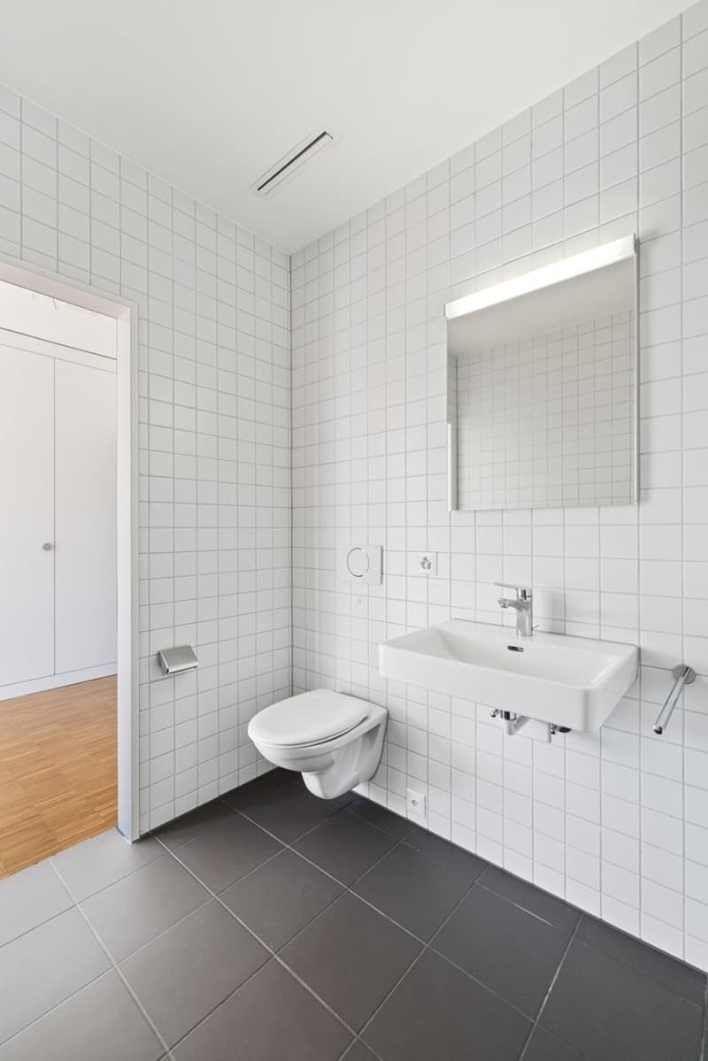 Durchdacht anders mit grosszügiger Dachterrasse (6)