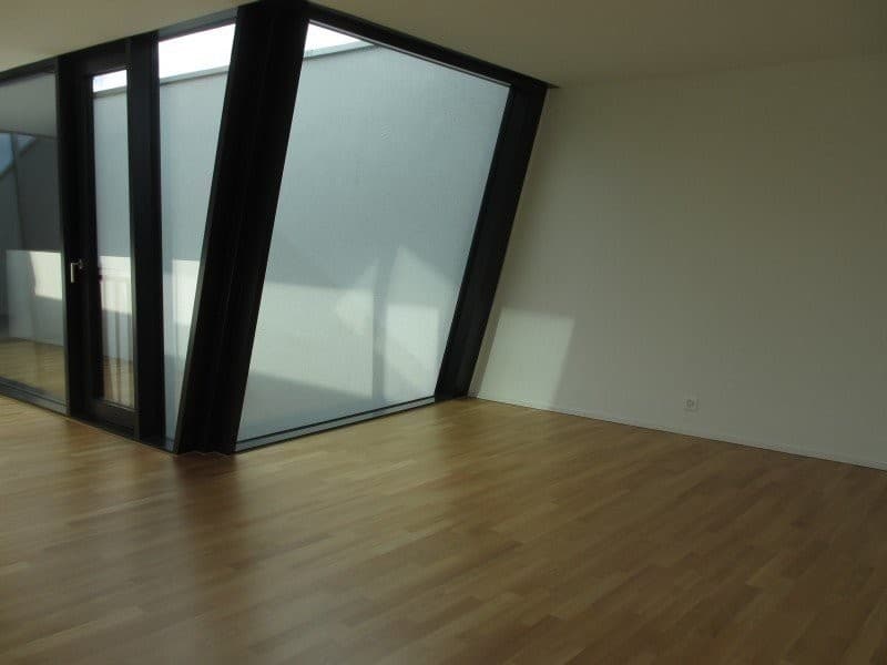 Aussergewöhnlich Wohnen in Zürich in der obersten Etage (5)
