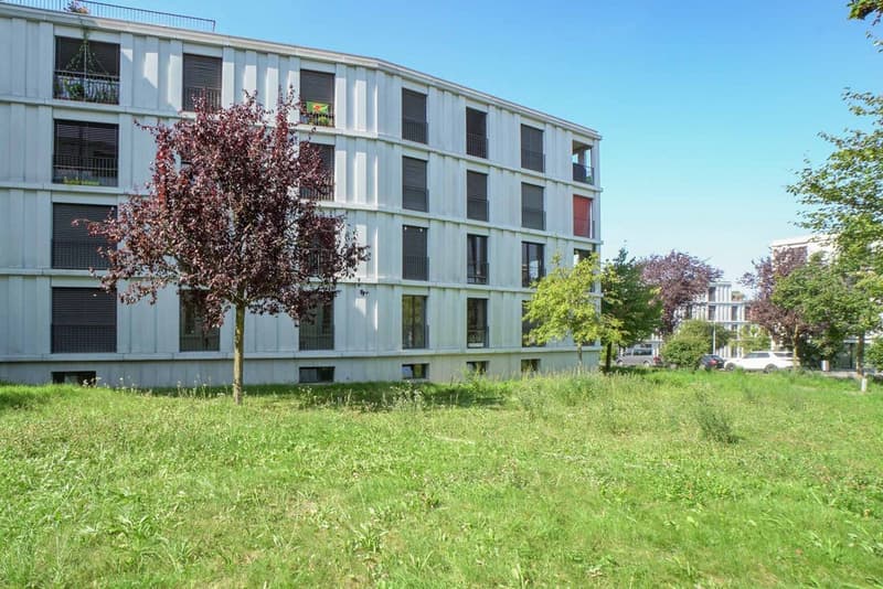 Mitten im Grünen - mitten in Zürich (1)