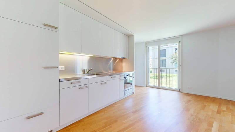 Mitten im Grünen - mitten in Zürich (3)